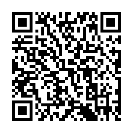 QR code for 393PB