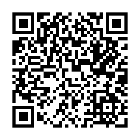QR code for 393PI