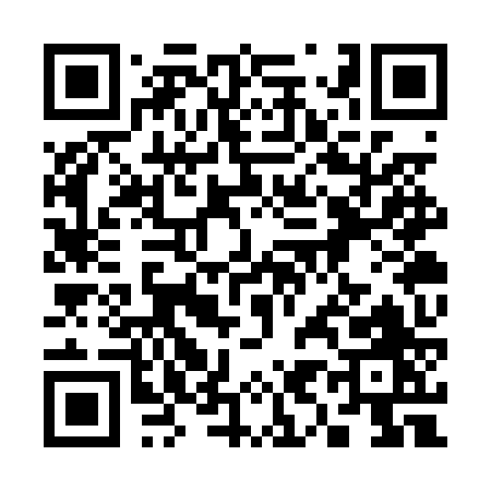 QR code for 393PZ