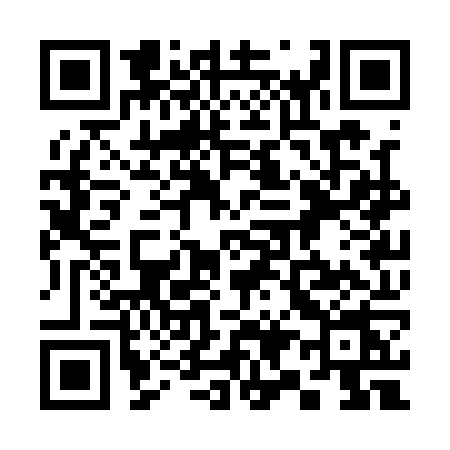 QR code for 393Q