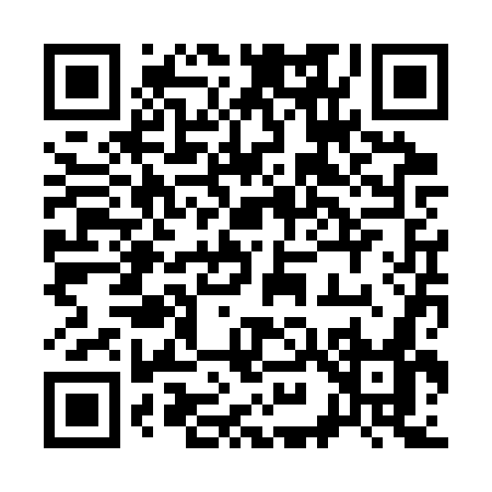 QR code for 393SW