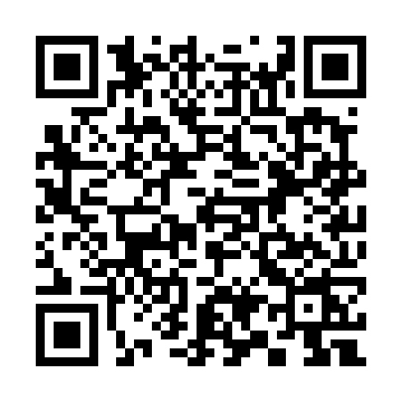 QR code for 393T