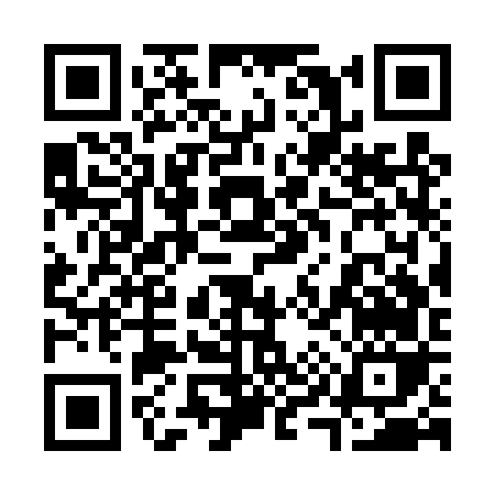 QR code for 393TV