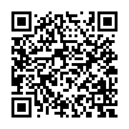 QR code for 393TY
