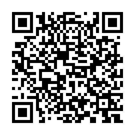 QR code for 393U