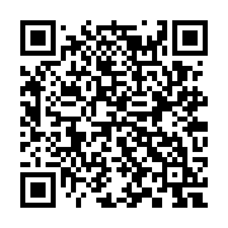 QR code for 393UKK