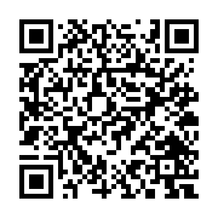 QR code for 393VD