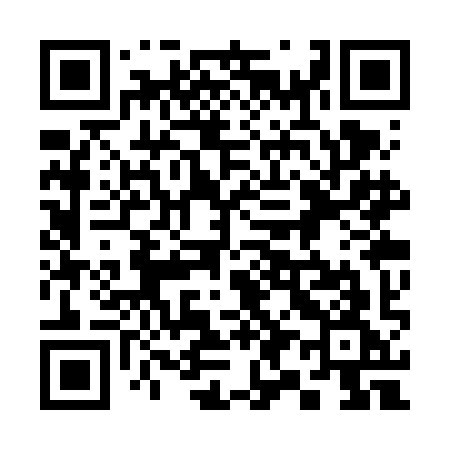 QR code for 393VIG