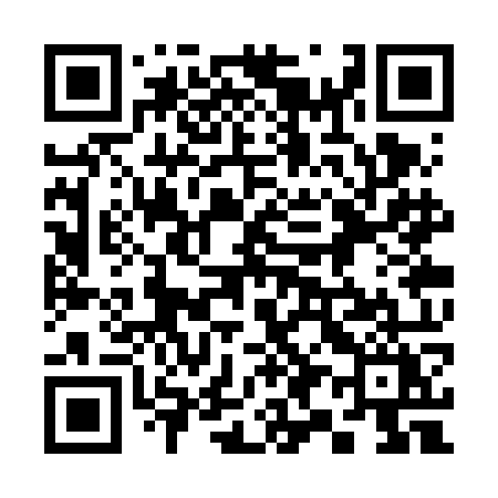 QR code for 393VOY