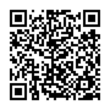 QR code for 393VSD