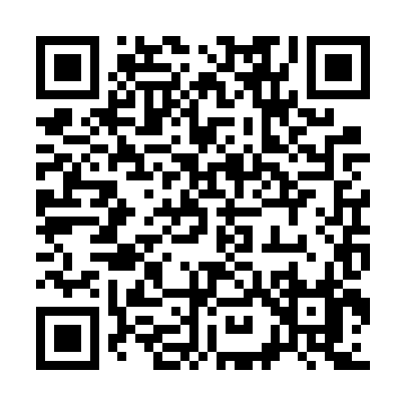 QR code for 393VX