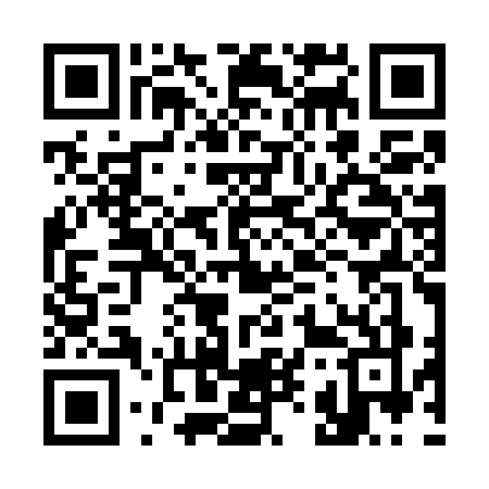 QR code for 393W