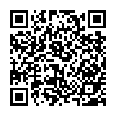 QR code for 393WA