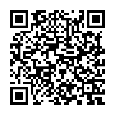 QR code for 393X