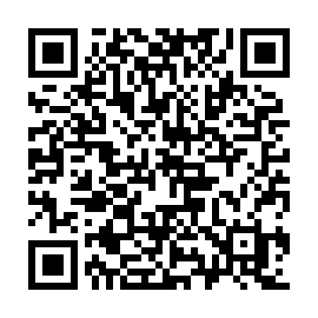QR code for 393XBH