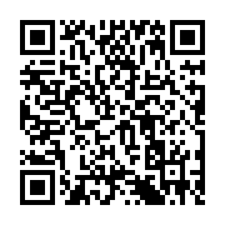 QR code for 393XG