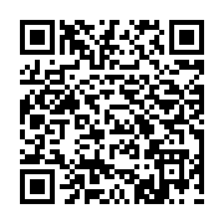 QR code for 393XO