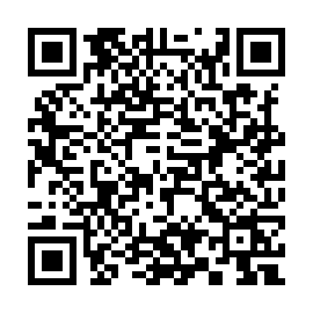 QR code for 393Y