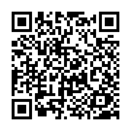 QR code for 393Z