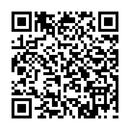 QR code for 393ZC