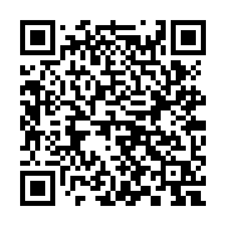 QR code for 393ZIP