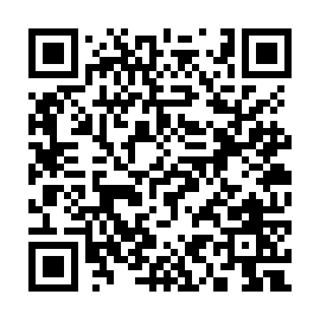 QR code for 393ZO