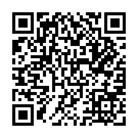QR code for 394DN