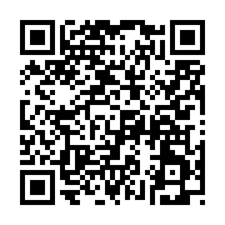 QR code for 394DT