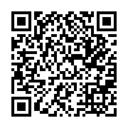 QR code for 394DZ