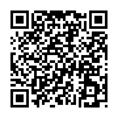 QR code for 394EI