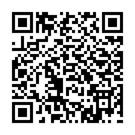 QR code for 394IC