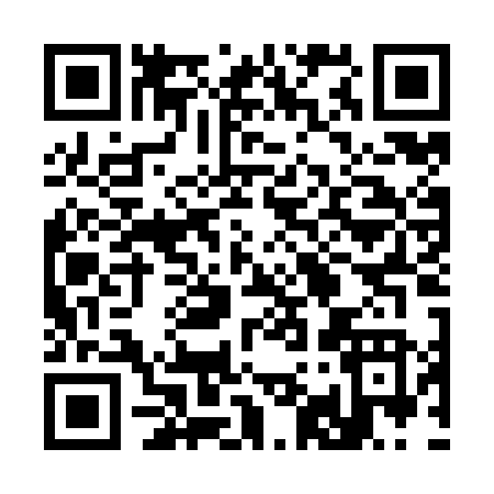 QR code for 394KN