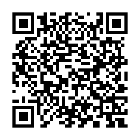 QR code for 394N
