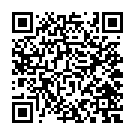 QR code for 394PT