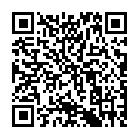 QR code for 394PZ