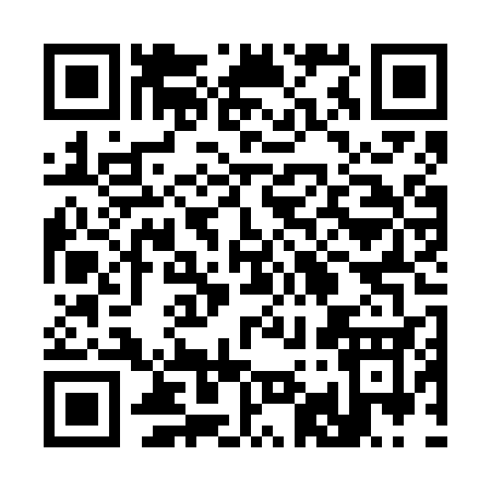 QR code for 394VS
