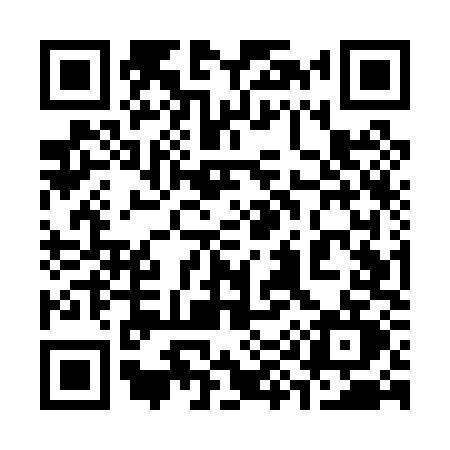 QR code for 395P