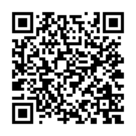 QR code for 395TS