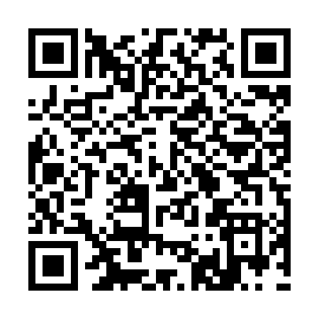 QR code for 395ZL