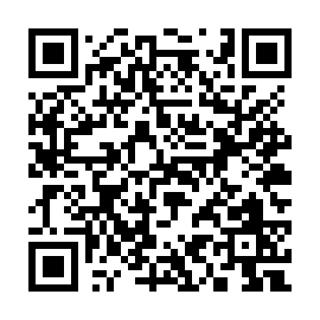QR code for 395ZS