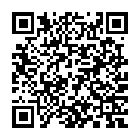 QR code for 396P