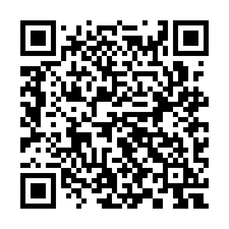 QR code for 397AII
