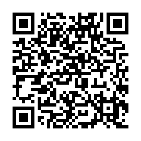 QR code for 397HZ