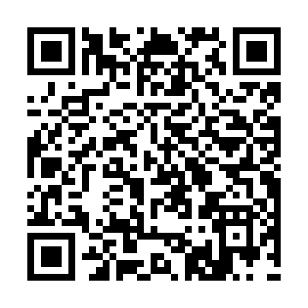 QR code for 397NP