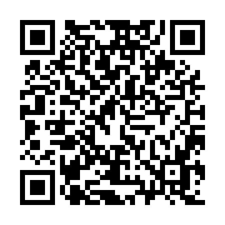 QR code for 397P