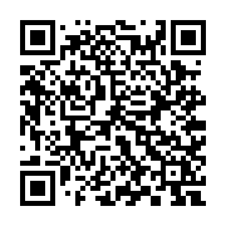 QR code for 397PLX
