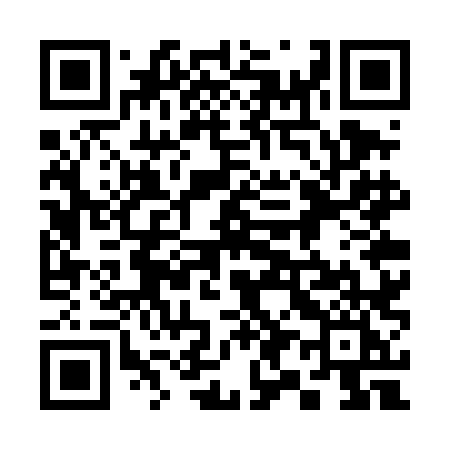 QR code for 397TLI