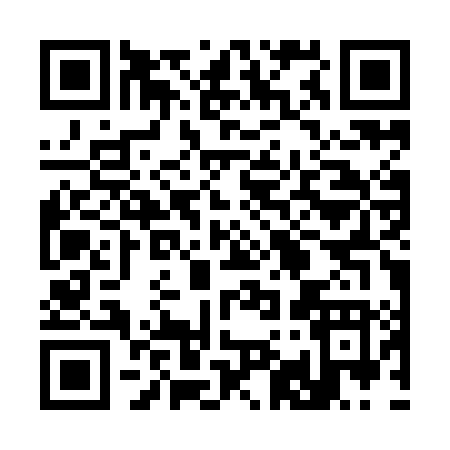 QR code for 397YL