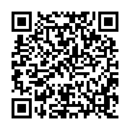 QR code for 397Z