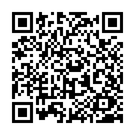 QR code for 399Y